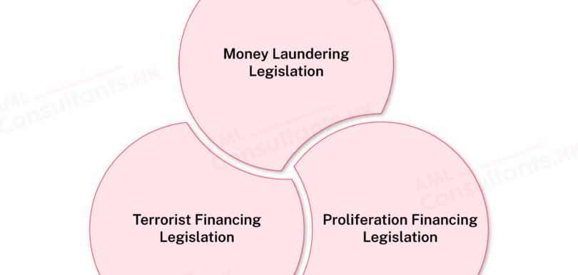 Core AML/CFT/CPF Laws and Regulations for Estate Agents in HK